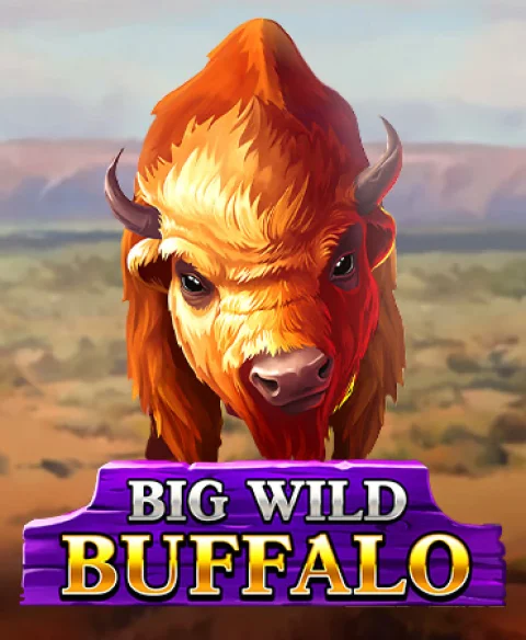 Play Big Wild Buffalo at Wolf Bet Casino